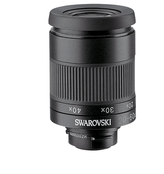 Swarovski 20-60 EYEPIECE MODULE ONLY