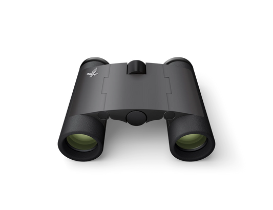 Swarovski 7/21 Curio - Black