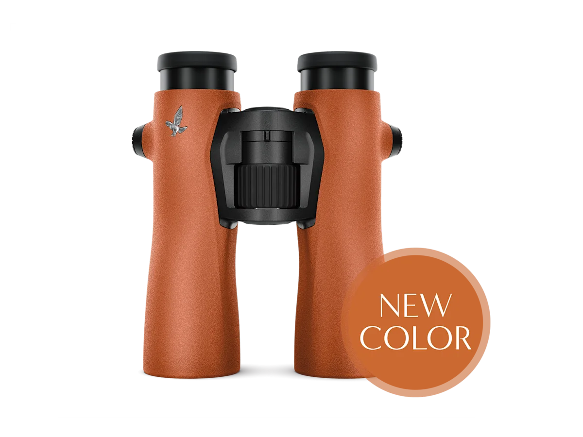 Swarovski NL Pure 8x42 - Burnt Orange