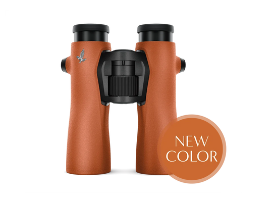 Swarovski NL Pure 8x42 - Burnt Orange