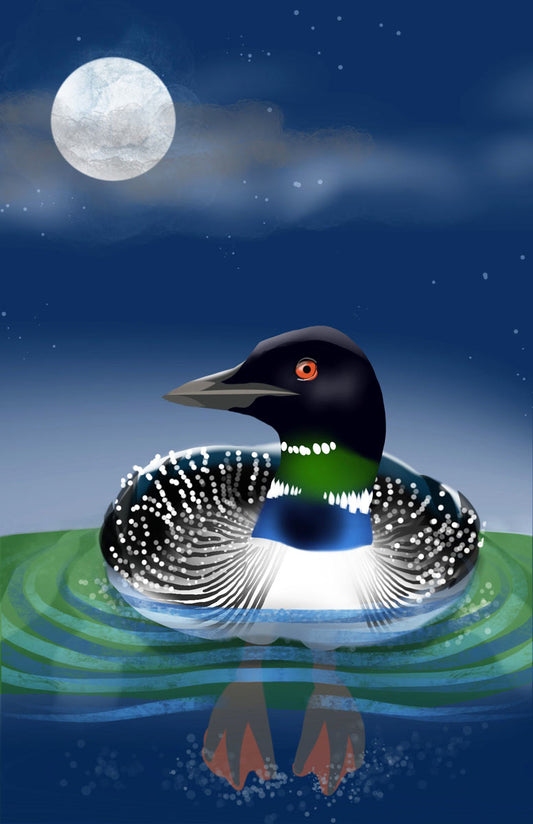 Loon Resting in Moonlight