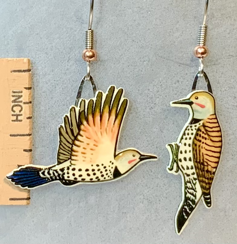 Northern Flicker (Red-Shafted) Earrings