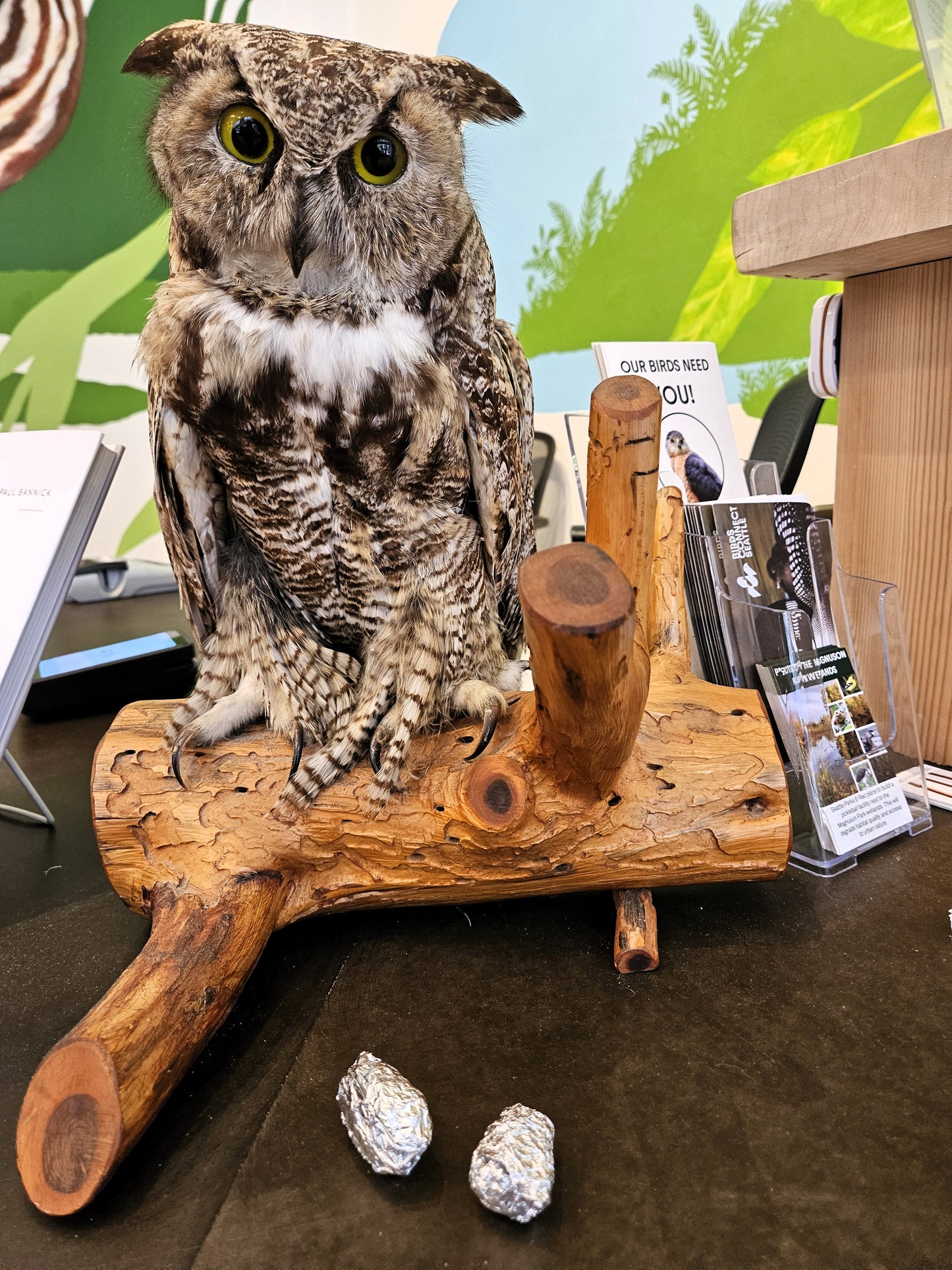 LARGE OWL PELLET