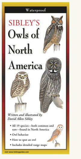 Owls of North America Laminated Guide