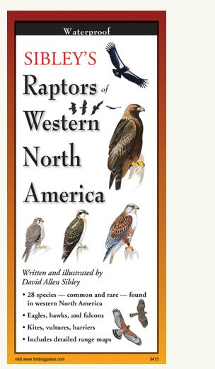 Raptors of Western North America