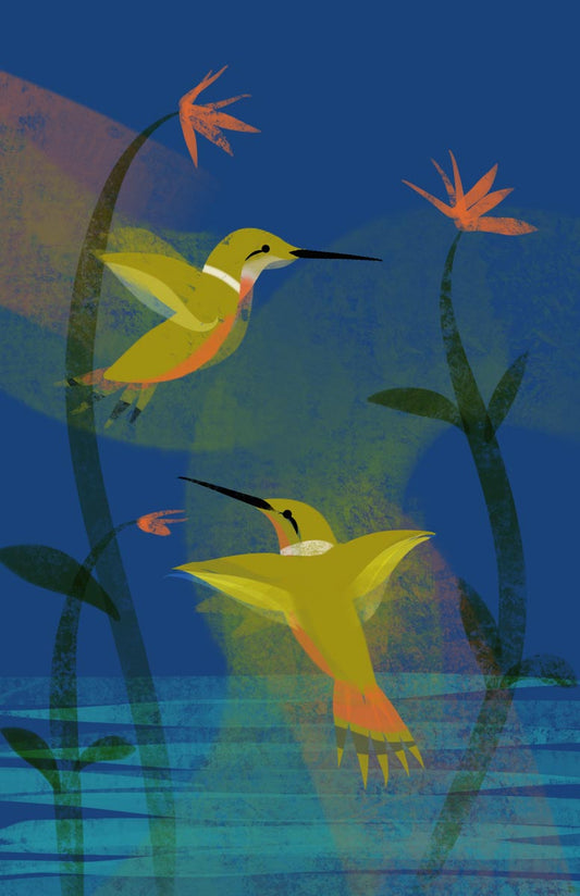 Rufous Hummingbirds