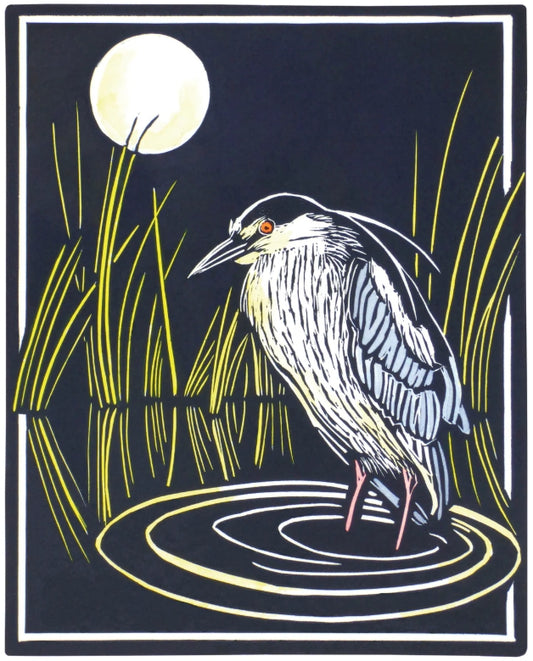 Molly Hashimoto: Black-crowned Night Heron Notecard