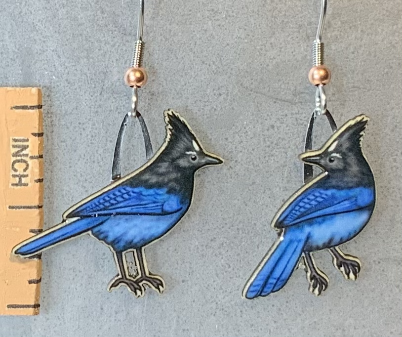 Stellar's Jay Earring