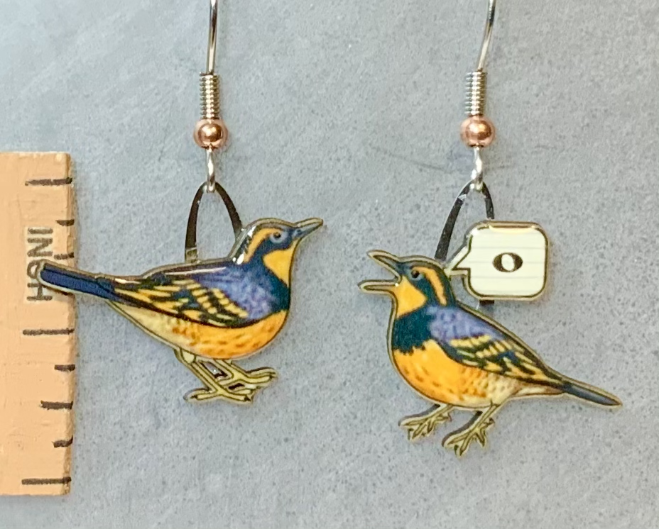 Varied Thrush Earrings