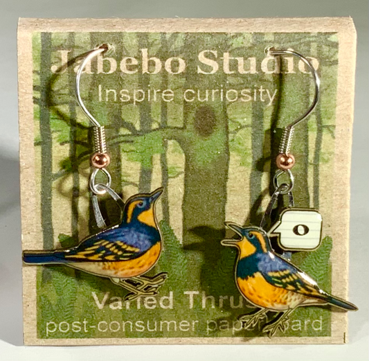 Varied Thrush Earrings
