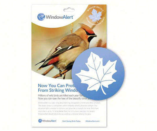 Window Alert 3 - Pack - Maple Leaf