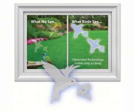 Window Alert 3 - Pack - Hummingbird