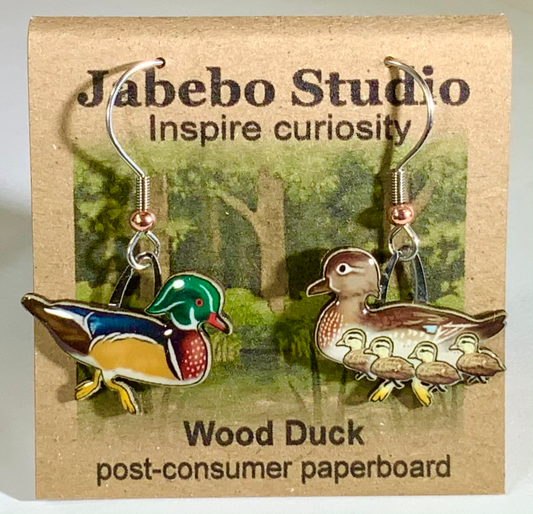 Wood Duck Earrings