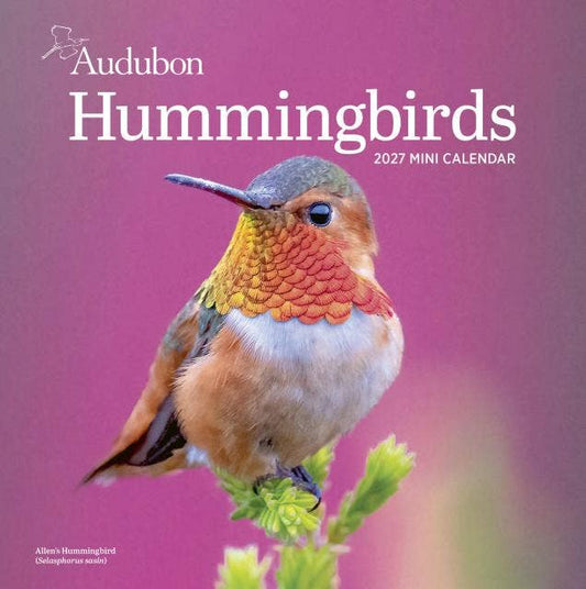 Audubon Hummingbirds Mini Wall Calendar 2027
