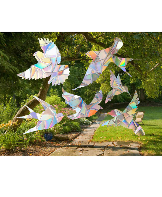 Bird Shape Suncatcher Pack