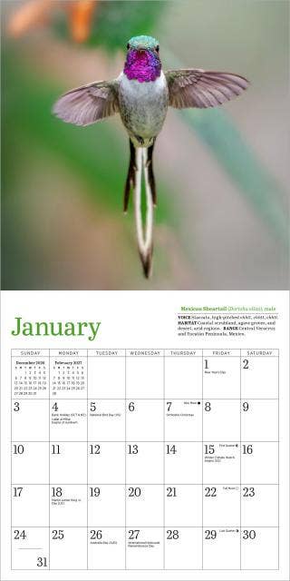 Audubon Hummingbirds Mini Wall Calendar 2027