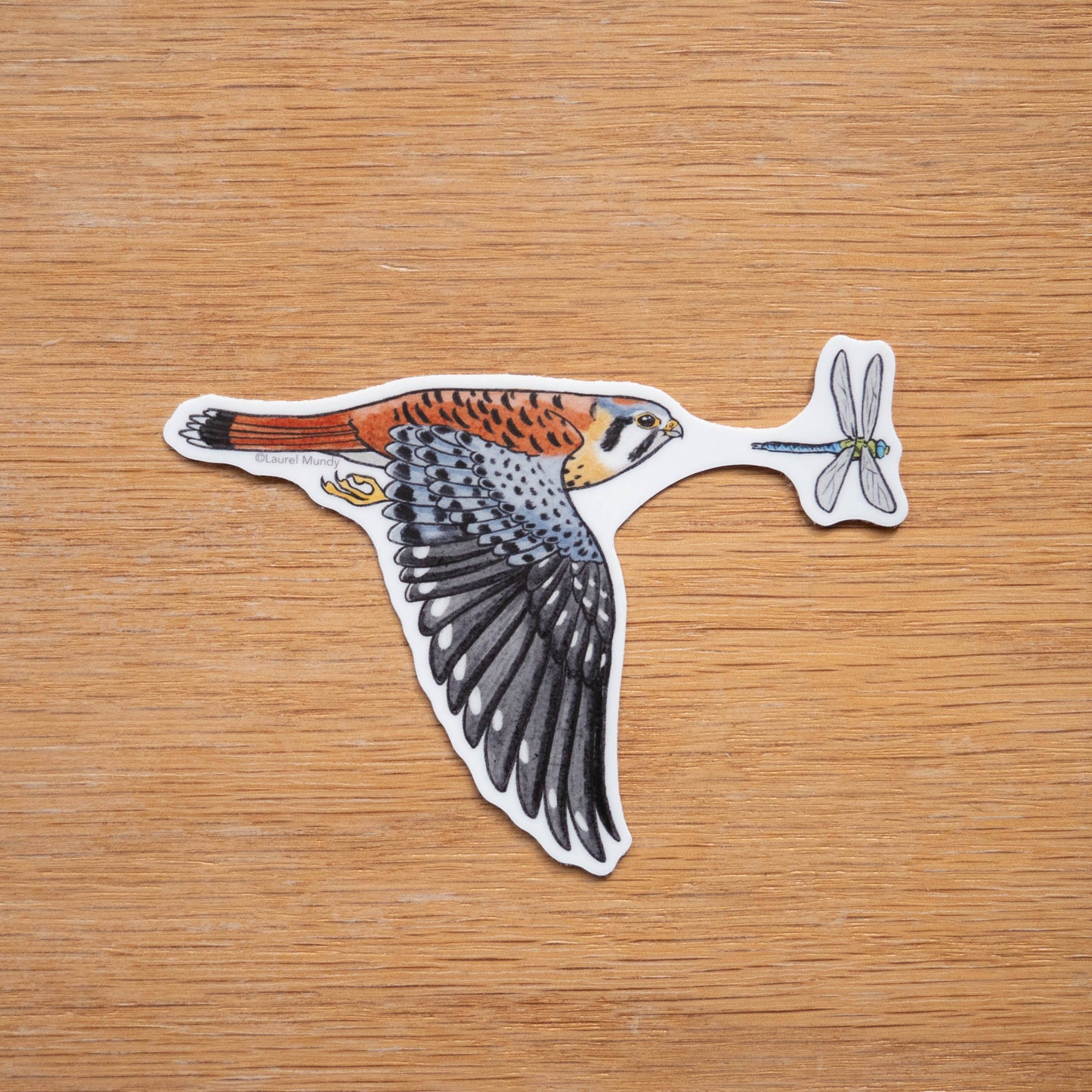 Kestrel Hunt 3" Vinyl Sticker dishwasher safe