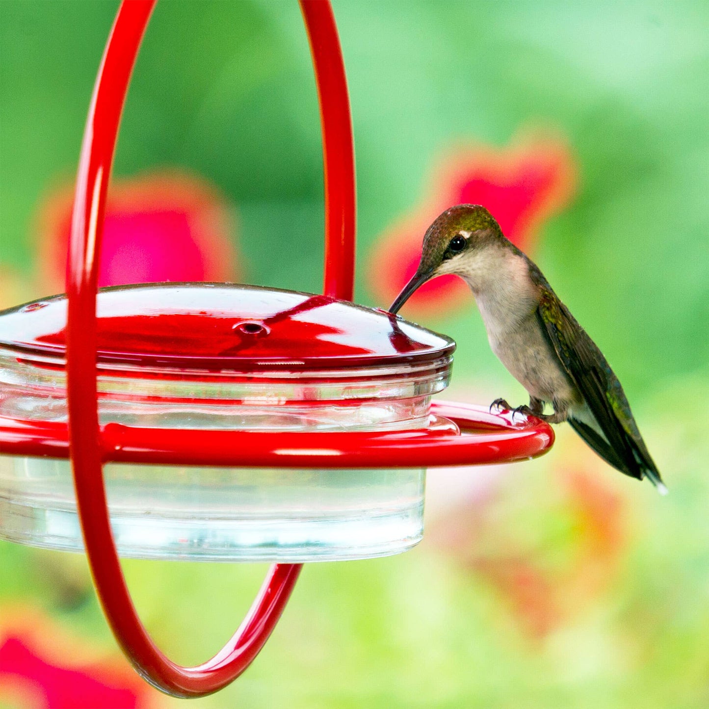 Mosaic Birds Hummble Bold Hummingbird Feeder Red