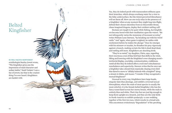 Among The Birds: Field Notes from Cascadia