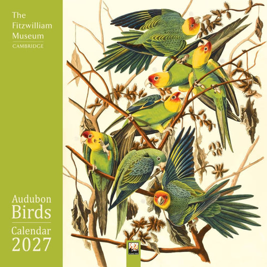 Audubon Birds: Fitzwilliam Museum 2027 Wall Calendar
