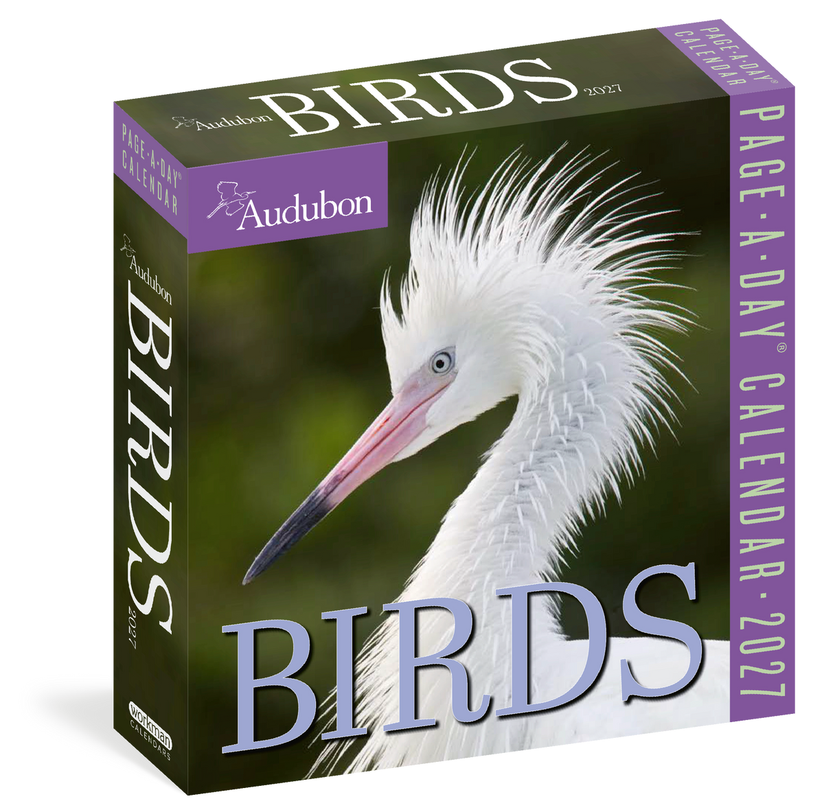 Audubon Birds Page-A-Day® Calendar 2027