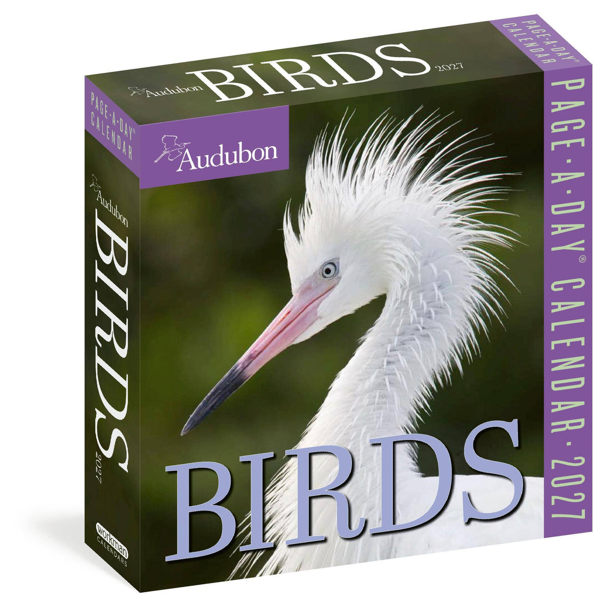 Audubon Birds Page-A-Day® Calendar 2027