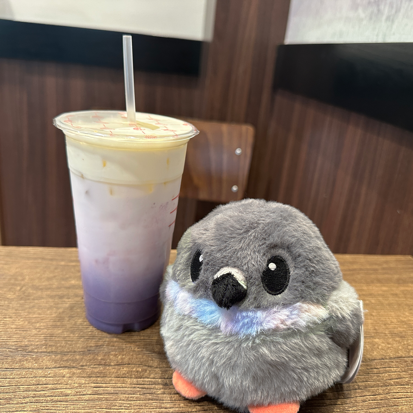 5" Pigeon Plush Bird Stress Ball | Round Rock Dove Borb