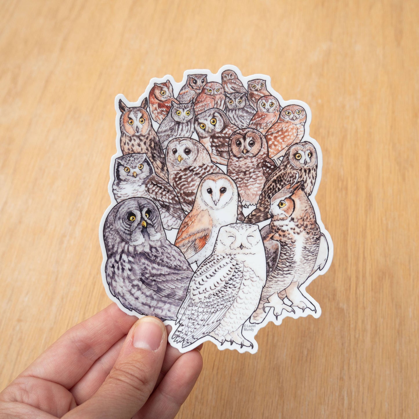 Owl Family Portrait Bird Sticker 5"X4" Large Vinyl Sticker