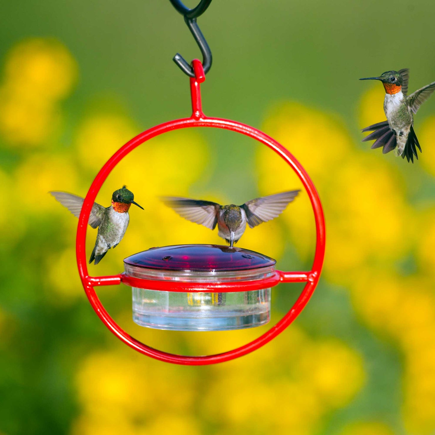Mosaic Birds Hummble Bold Hummingbird Feeder Red