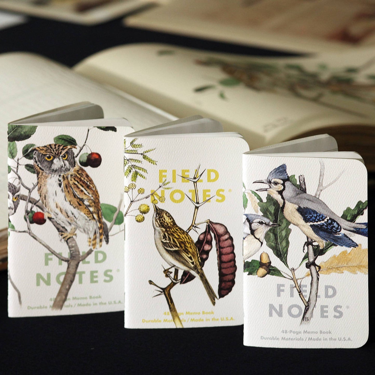 Birds and Trees of North America Notebook Pack
