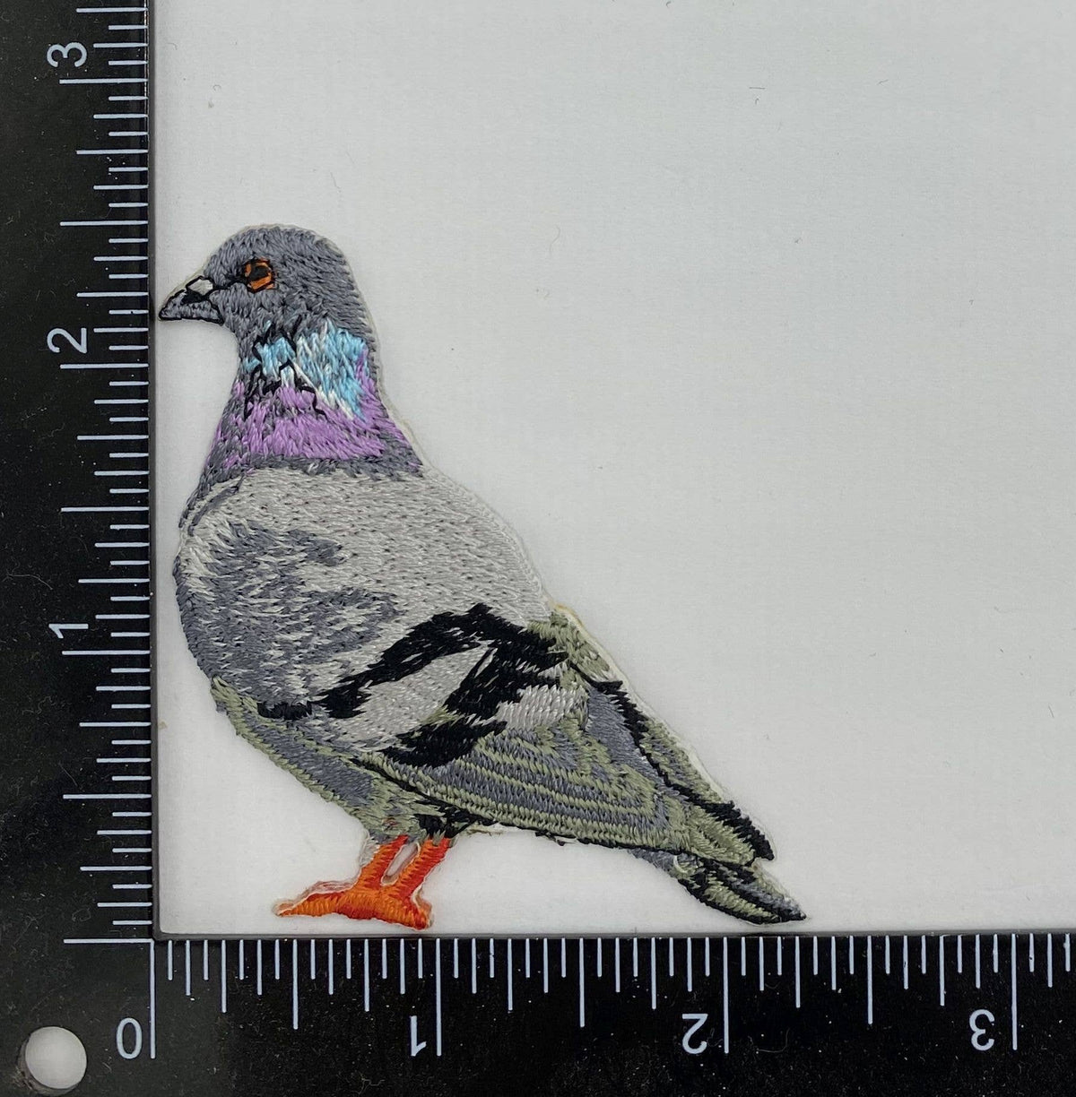 Rock Dove Pigeon, Birds, Iron on Patch