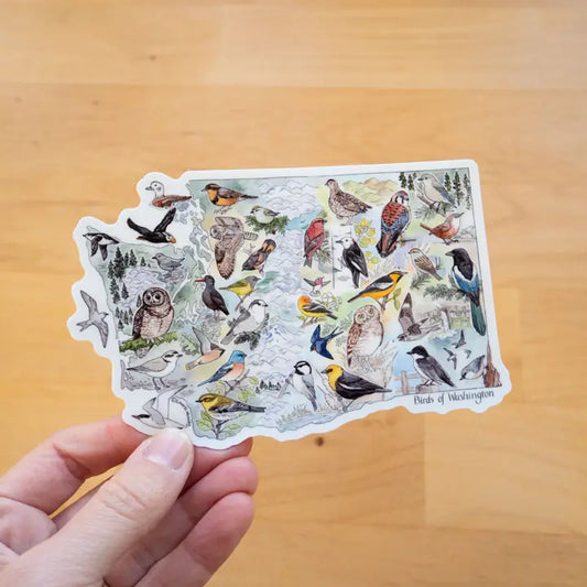 Birds of Washington Sticker 5.25"X3.5" Large Vinyl Sticker
