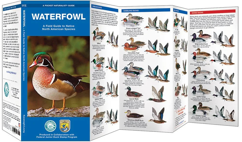 Waterfowl Laminated Guide