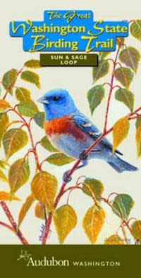 SUN & SAGE LOOP BIRDING TRAIL MAP